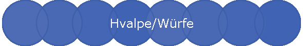 Hvalpe/Würfe